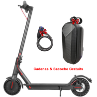 TROTTINETTE ÉLECTRIQUE SPARKWAY D8 PRO