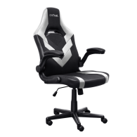 CHAISE GAMING TRUST GXT